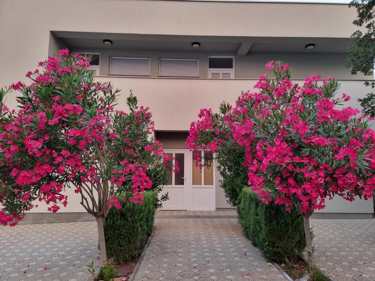 Apartmani Jozic セリネ エクステリア 写真