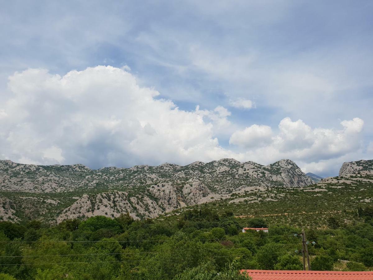 Apartmani Jozic セリネ エクステリア 写真